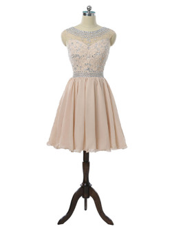 Champagne 2017 Homecoming Dresses A-line Cap Sleeves Chiffon